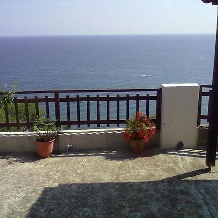 Agios Ioannis Pelion Orama公寓 外观 照片