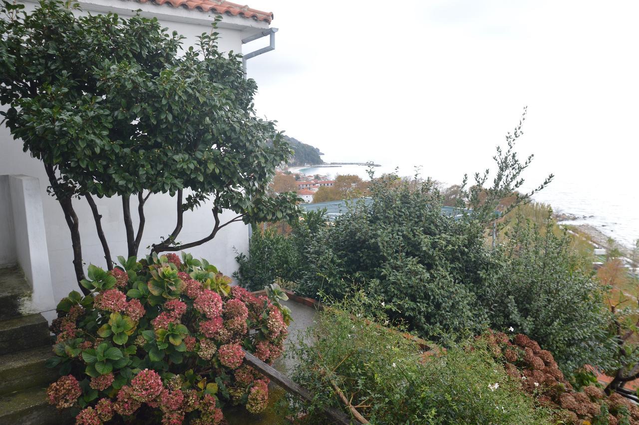 Agios Ioannis Pelion Orama公寓 外观 照片