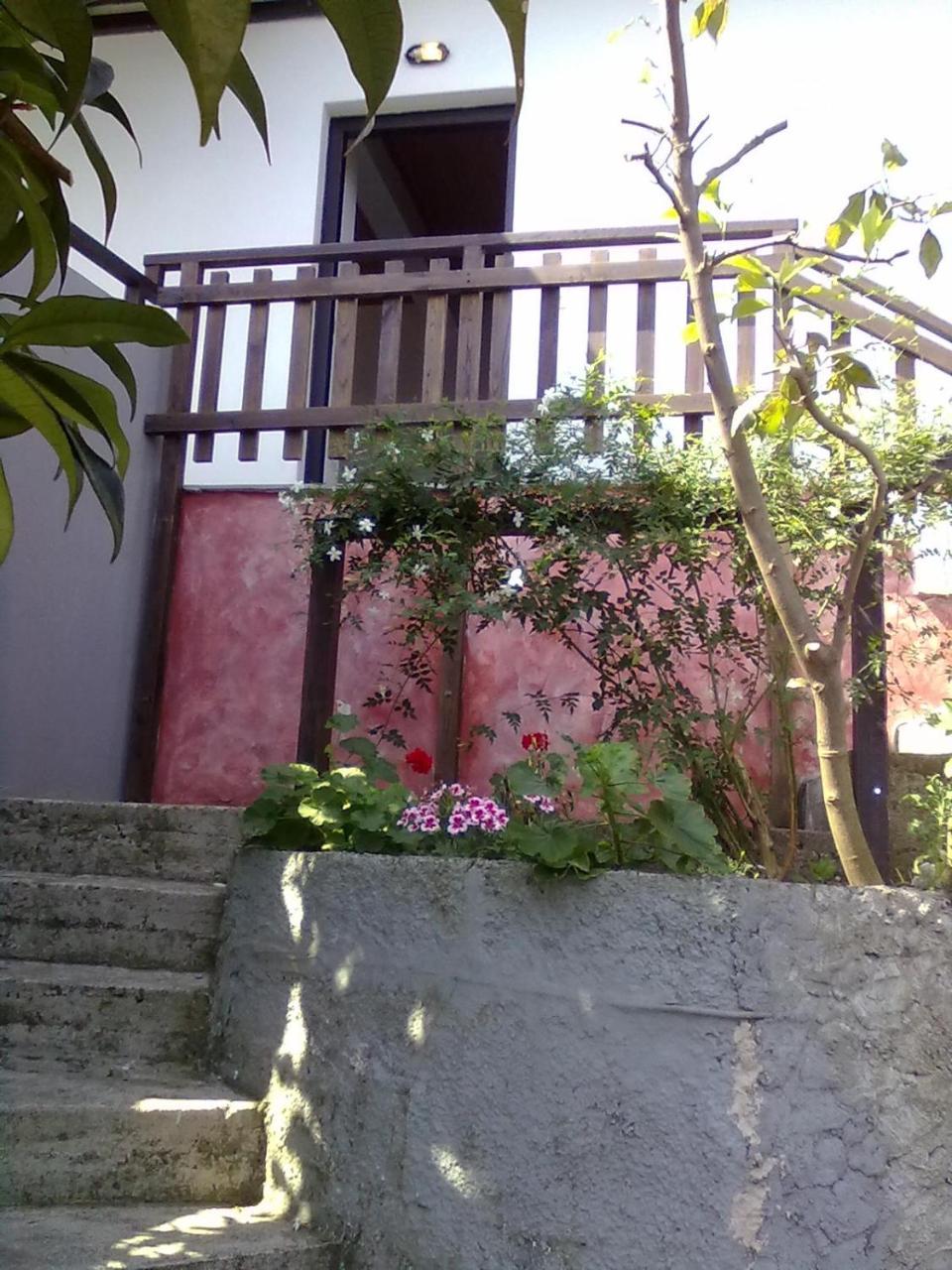 Agios Ioannis Pelion Orama公寓 外观 照片